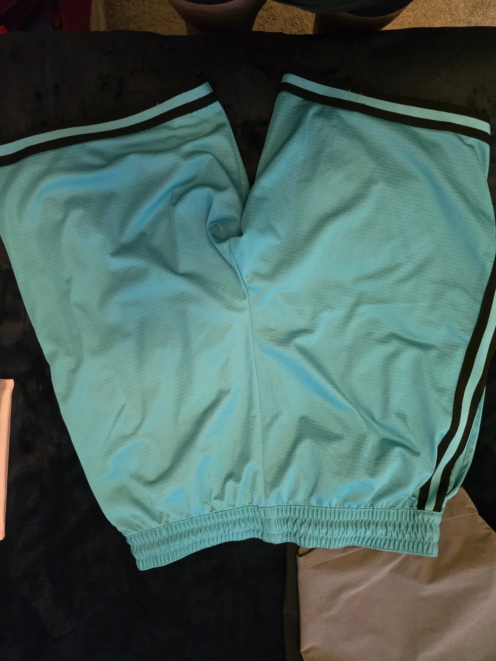 Nike Teal Athletic Shorts with Black Trim NWOT LARGE